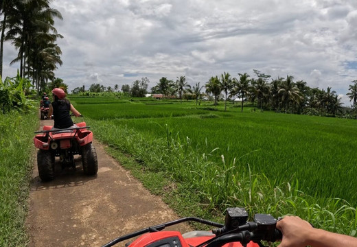 Balinice Transport-登巴萨必去景点