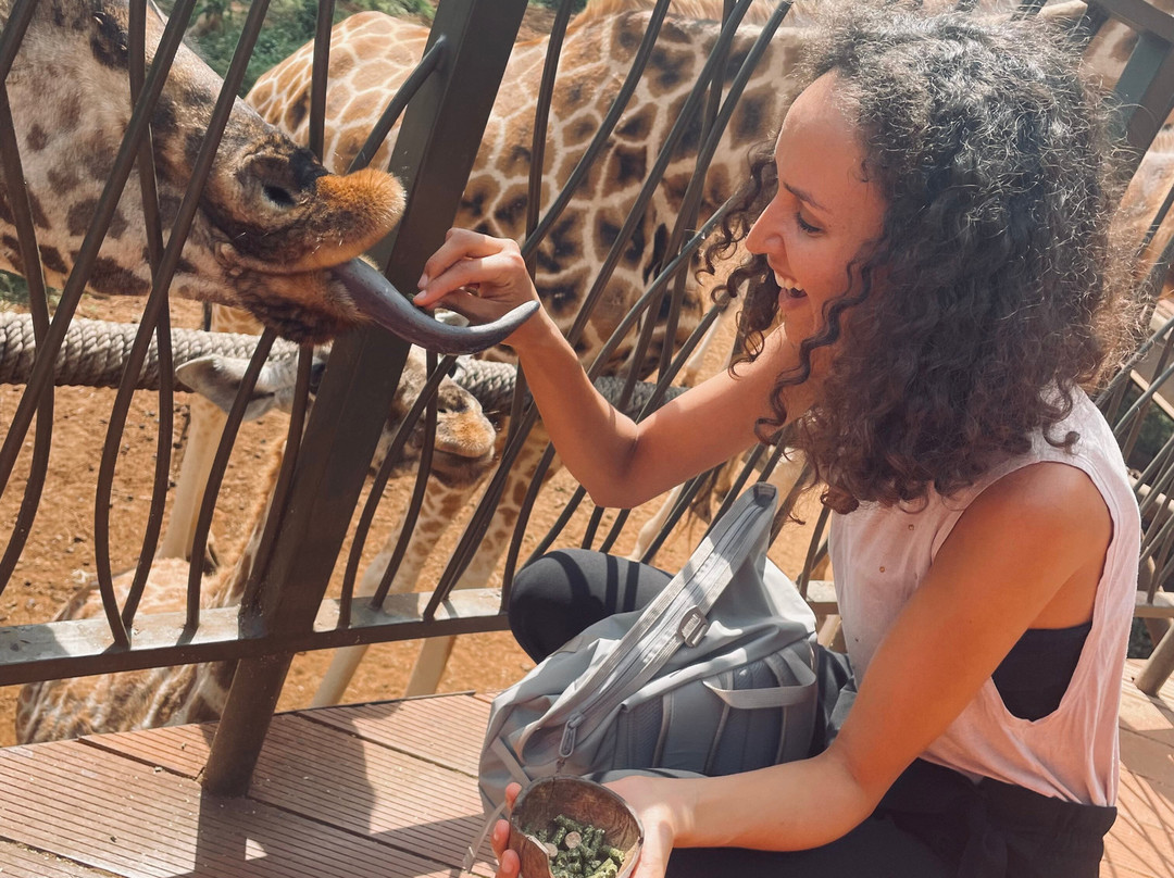 Safari And Trekking Africa-阿鲁沙必去景点