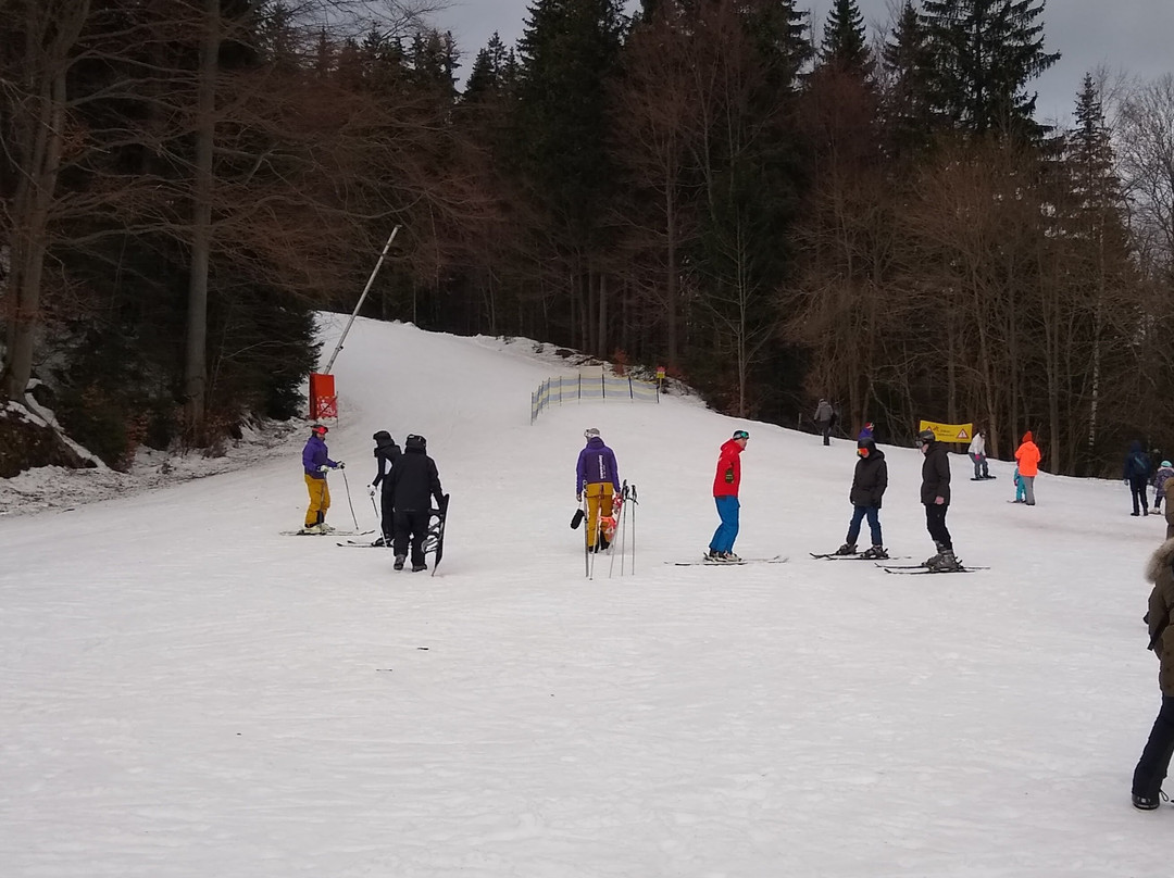 SnowMonkey Ski & Snb School & Rental景点图片