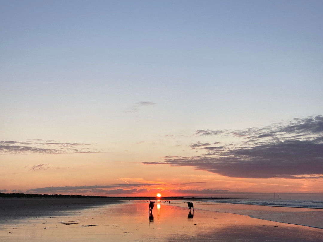 Redcar Beach-Redcar必去景点