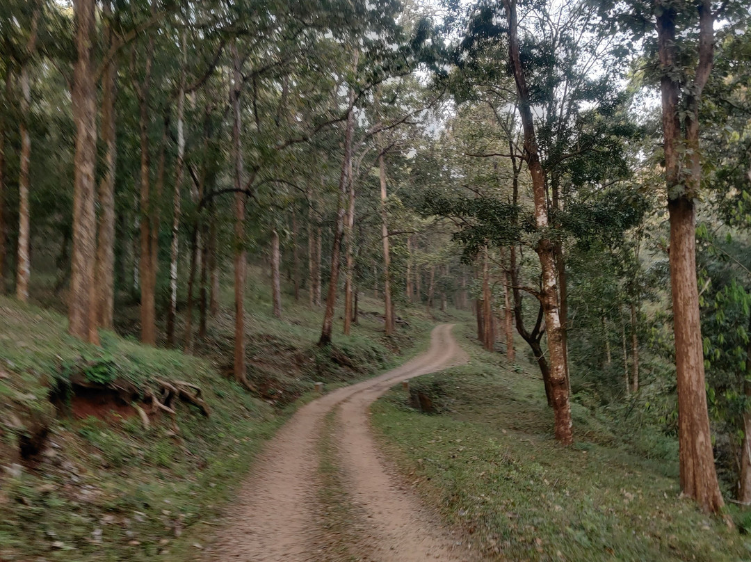 Parambikulam Tiger Reserve-Palakkad必去景点