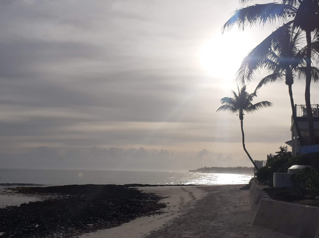 Pineapple Fields Resort主图