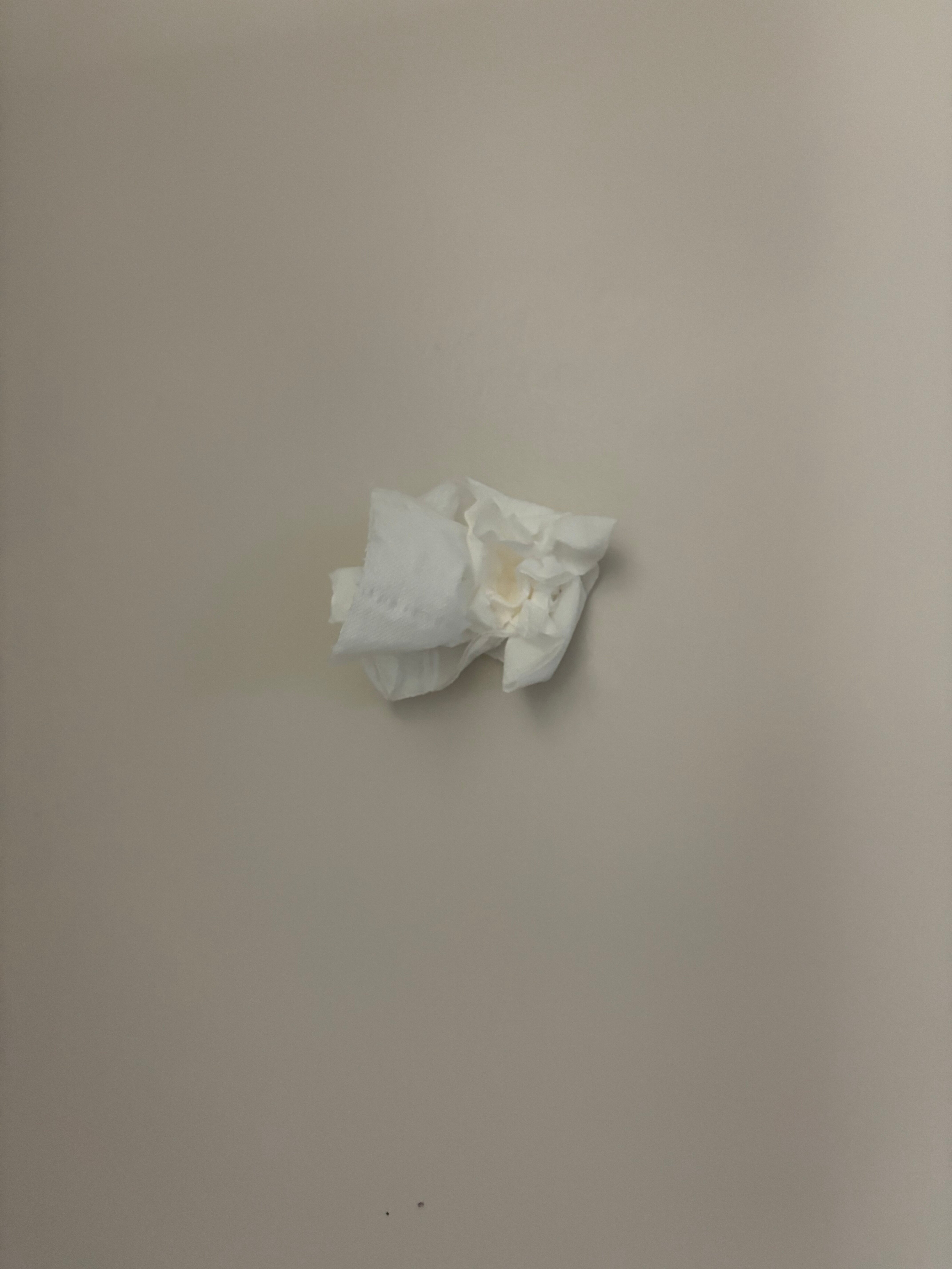 Brooklyn Motor Lodge-官方