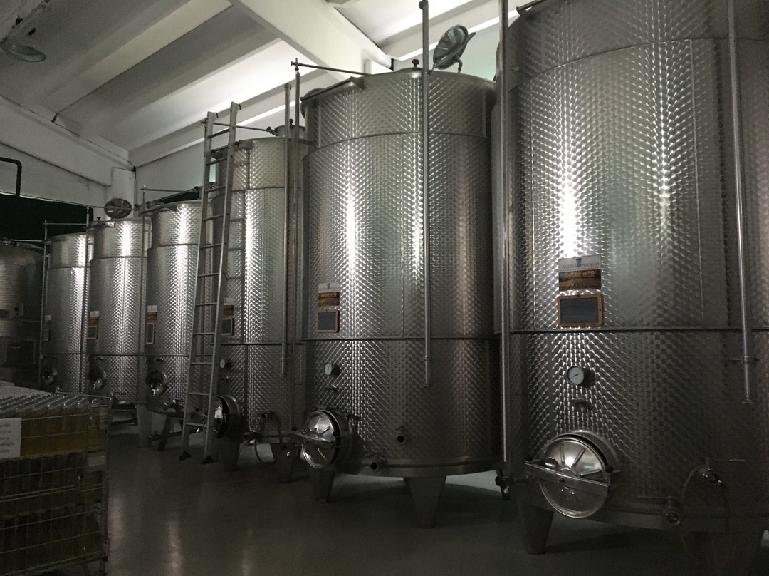 Cantina Il Poggio景点图片