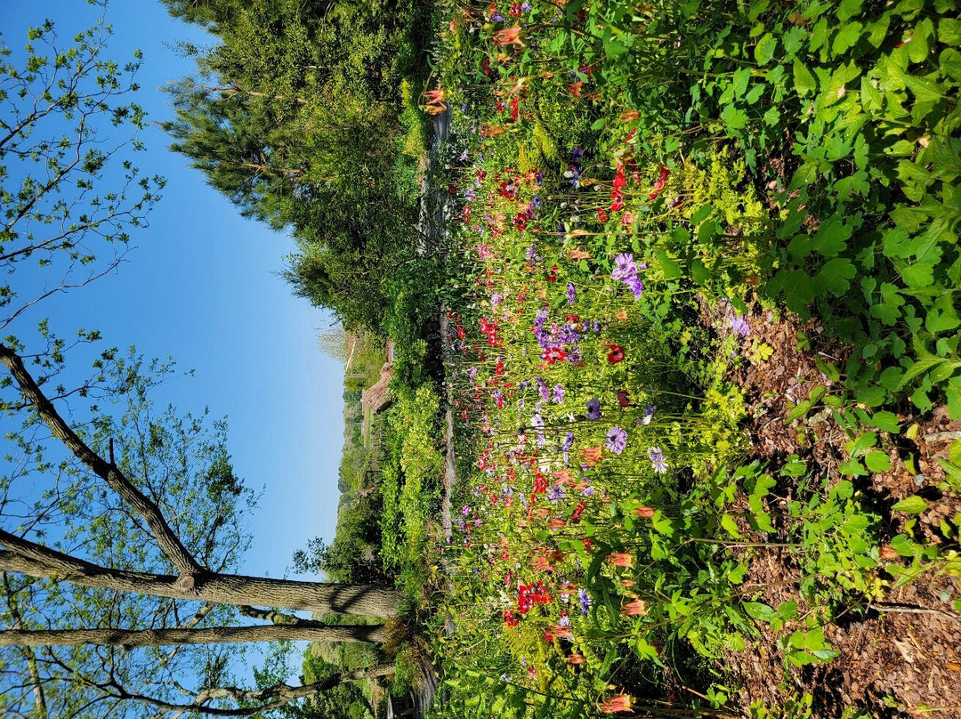 Delaware Botanic Gardens景点图片