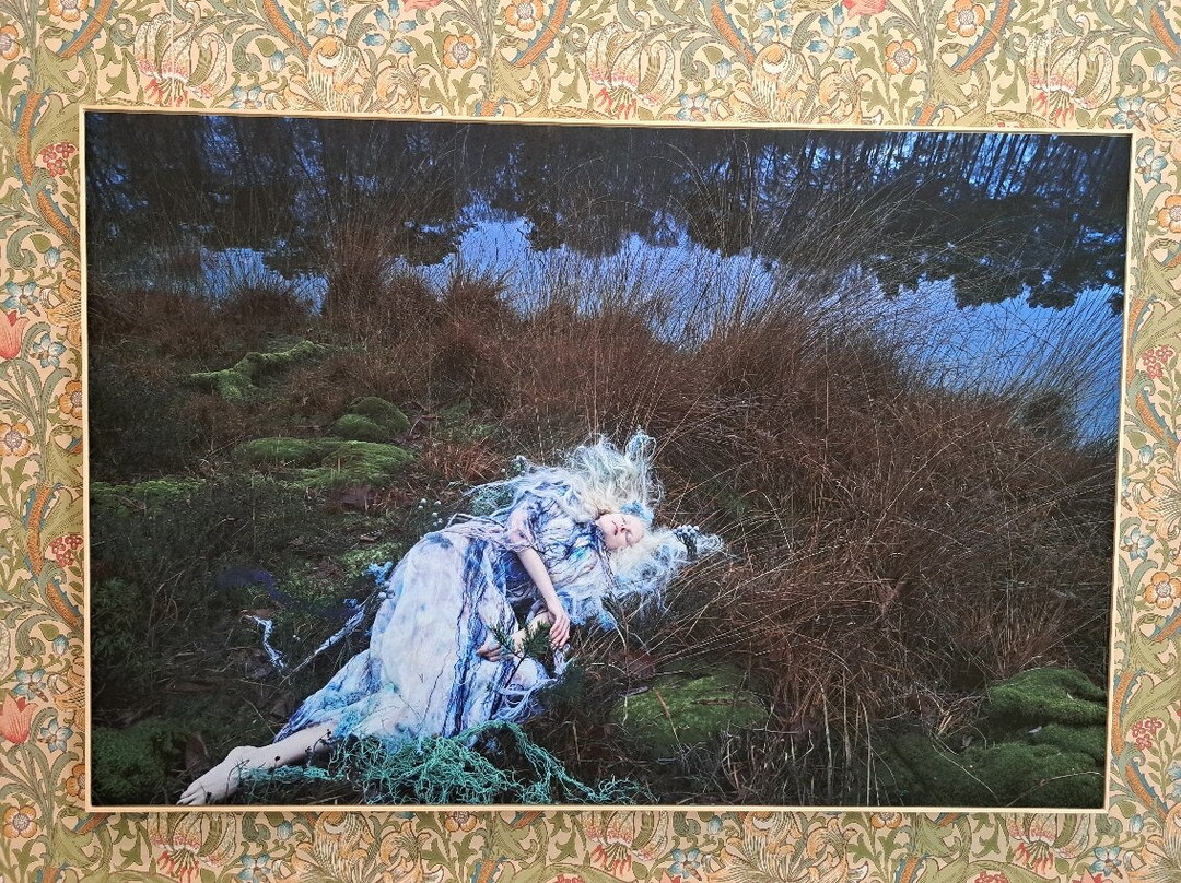 ANNO Stadsmuseum Zwolle-兹沃勒必去景点