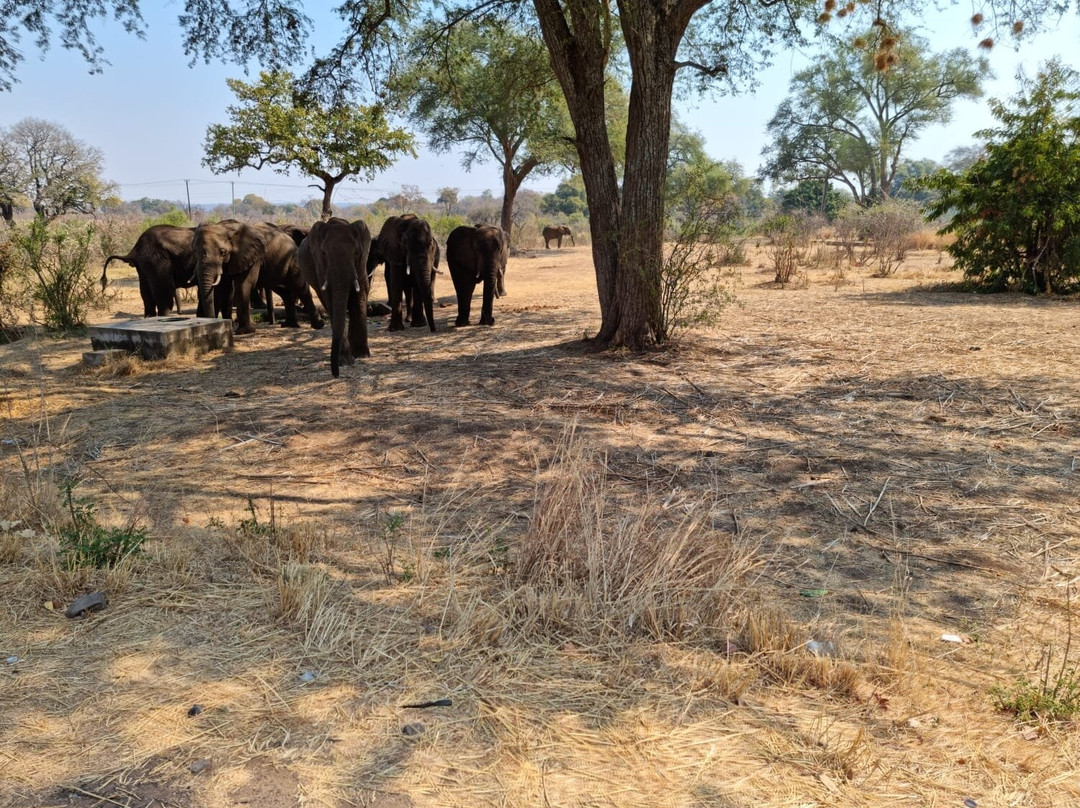 Daisy Tours Zambia-李文斯顿必去景点