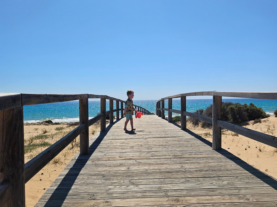 Playa El Campo景点图片