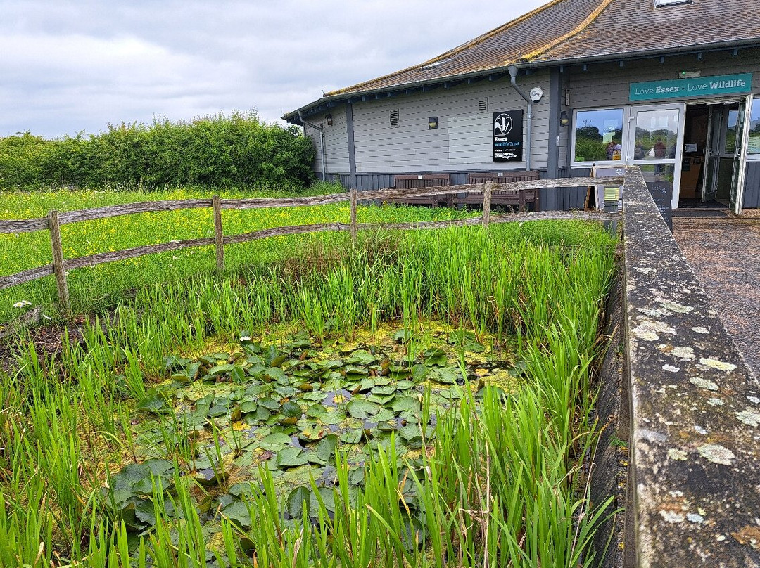 Abberton Reservoir Visitor Centre景点图片