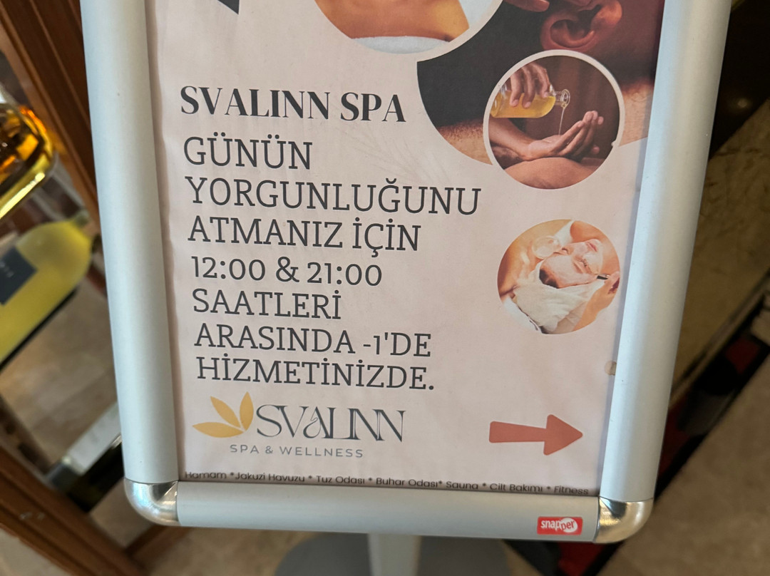 Svalinn Hotel主图