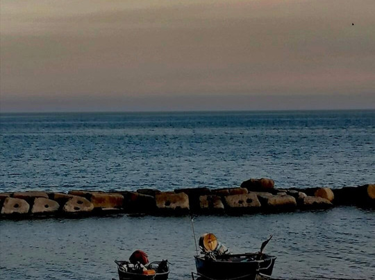 Il Sogno di Calipso主图