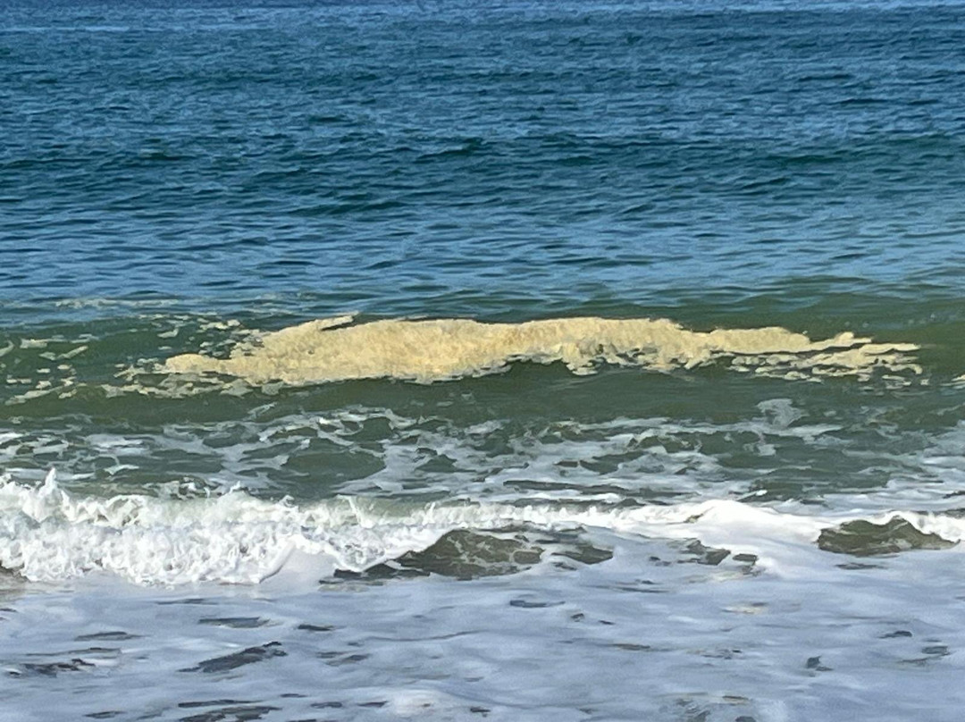 Praa Sands Beach-Praa Sands必去景点