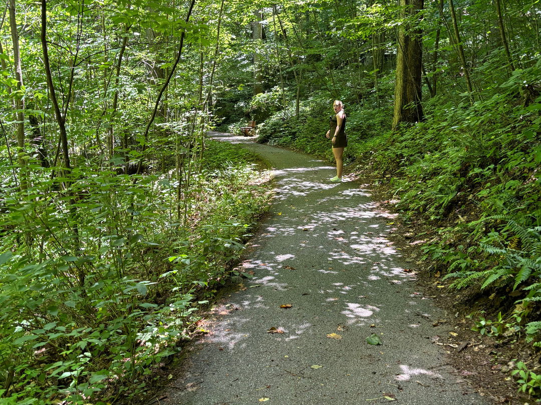 Crabtree Falls-Wintergreen必去景点