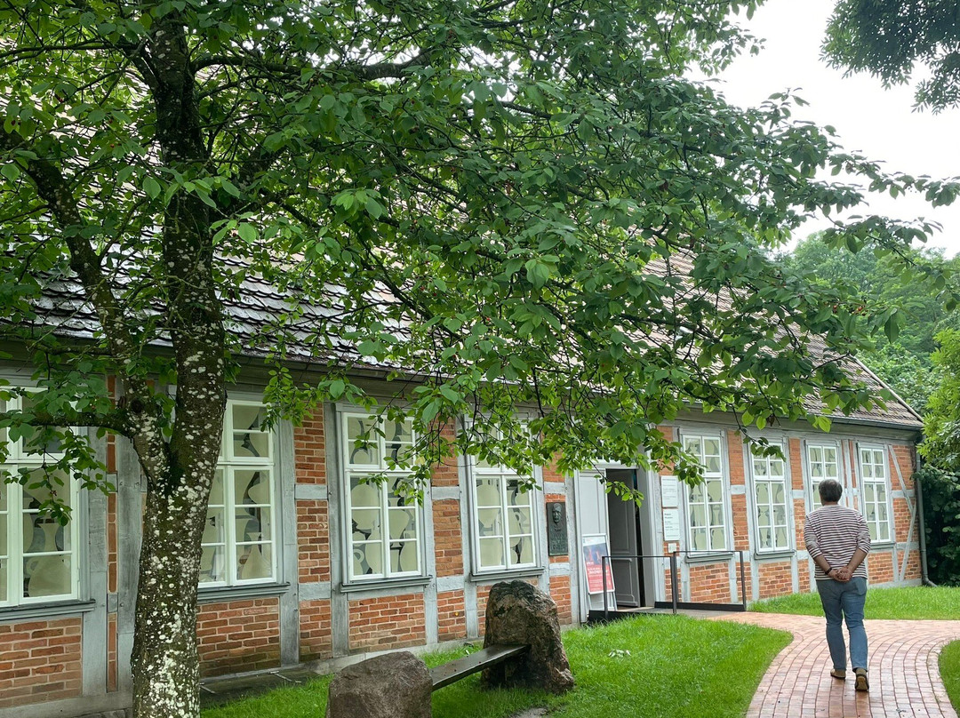 Heinrich-Schliemann Museum景点图片