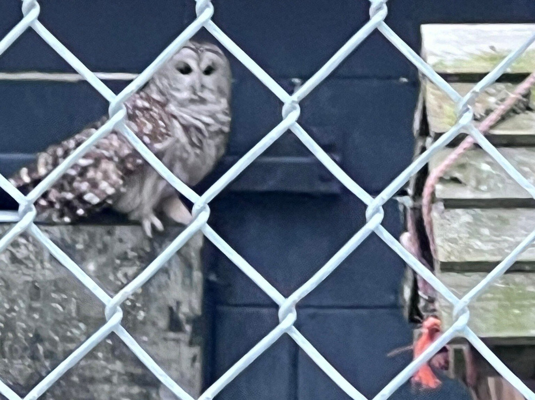 Kisma Preserve-Trenton必去景点