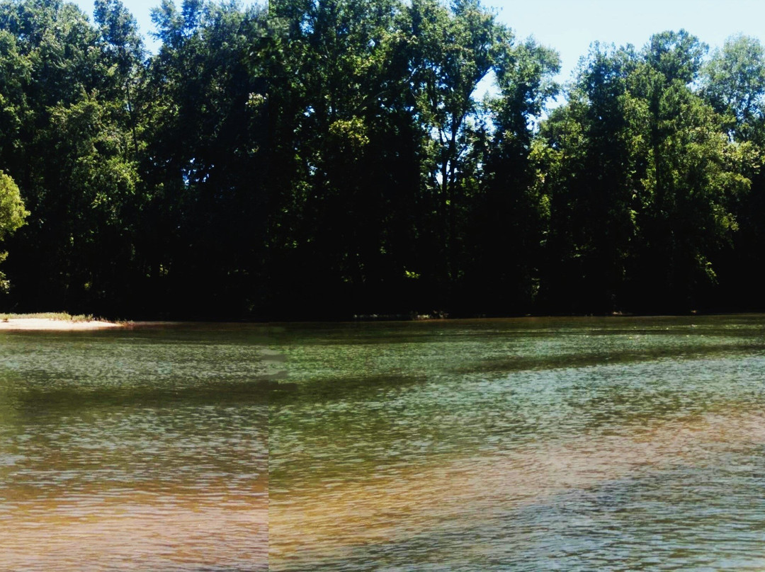 Shady Beach-Saint Clair必去景点