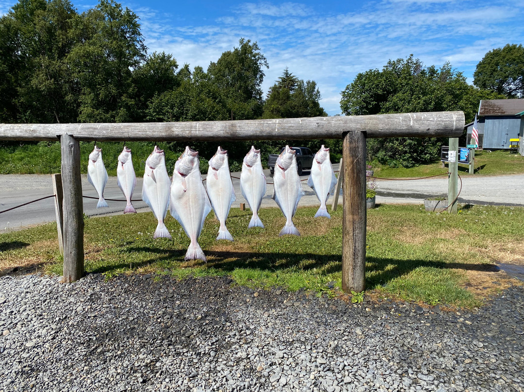 Discover Alaskan Adventures-尼尔奇克必去景点