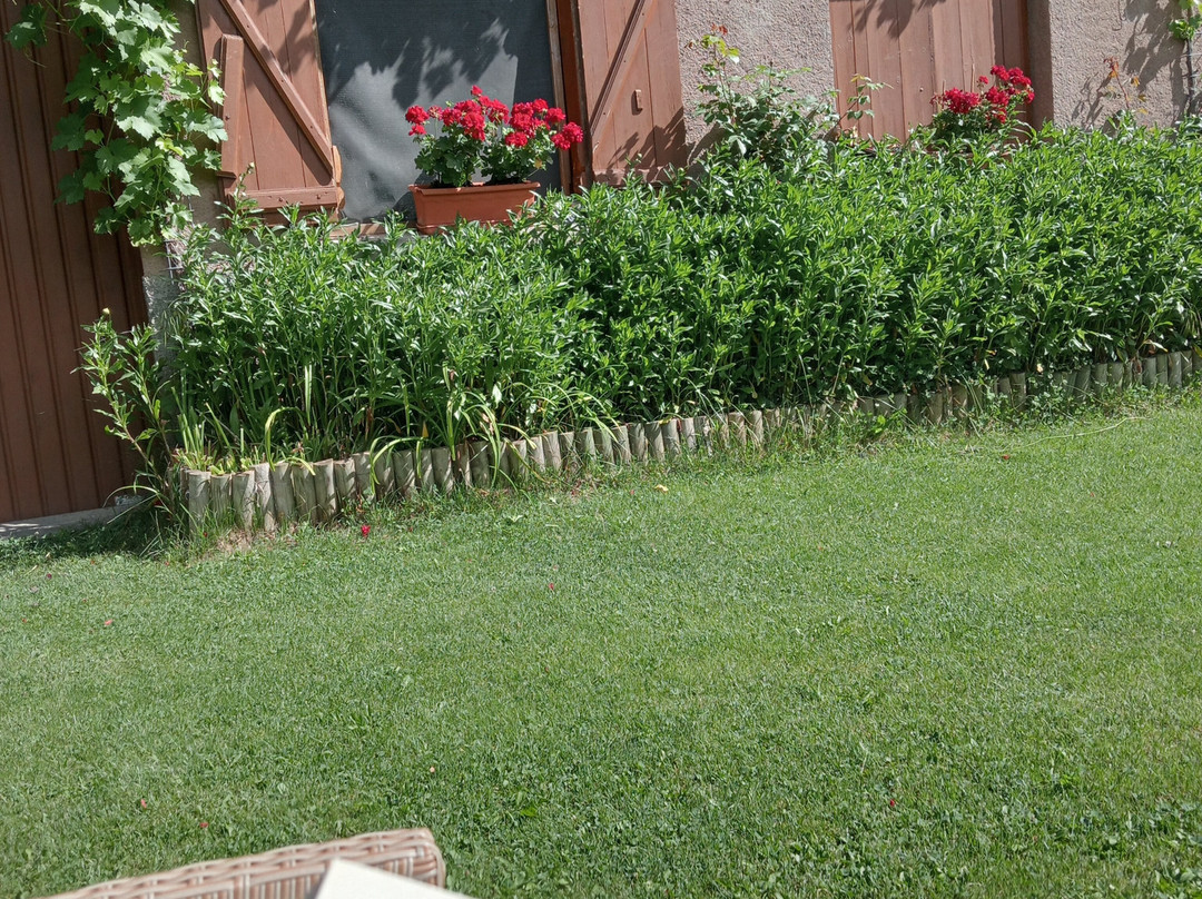 Hostal Escuils主图