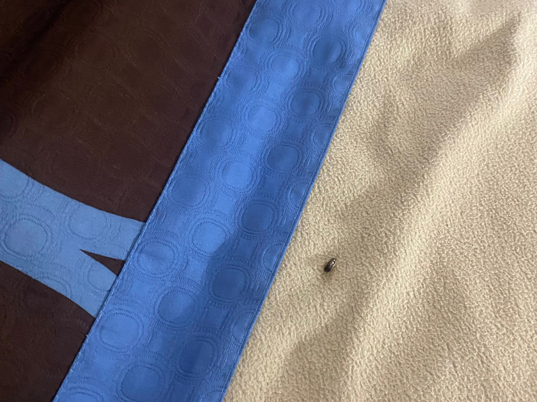 Super 8 by Wyndham Somerset主图