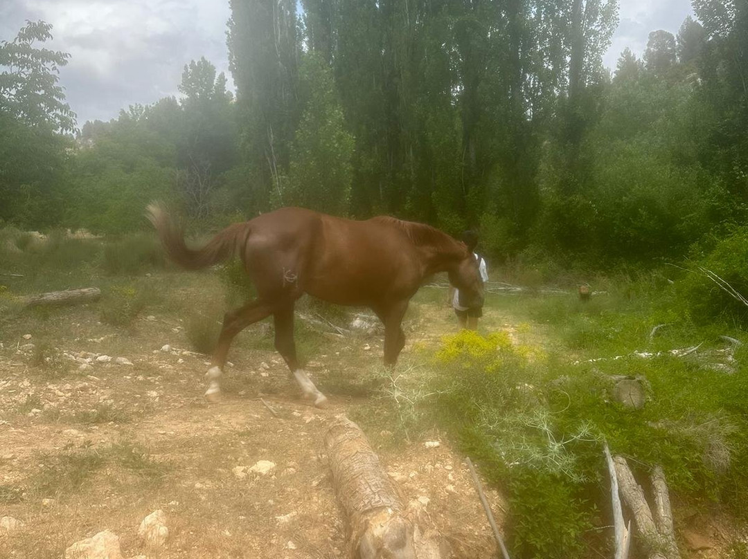 Ruta del Zarzalar-Nerpio必去景点