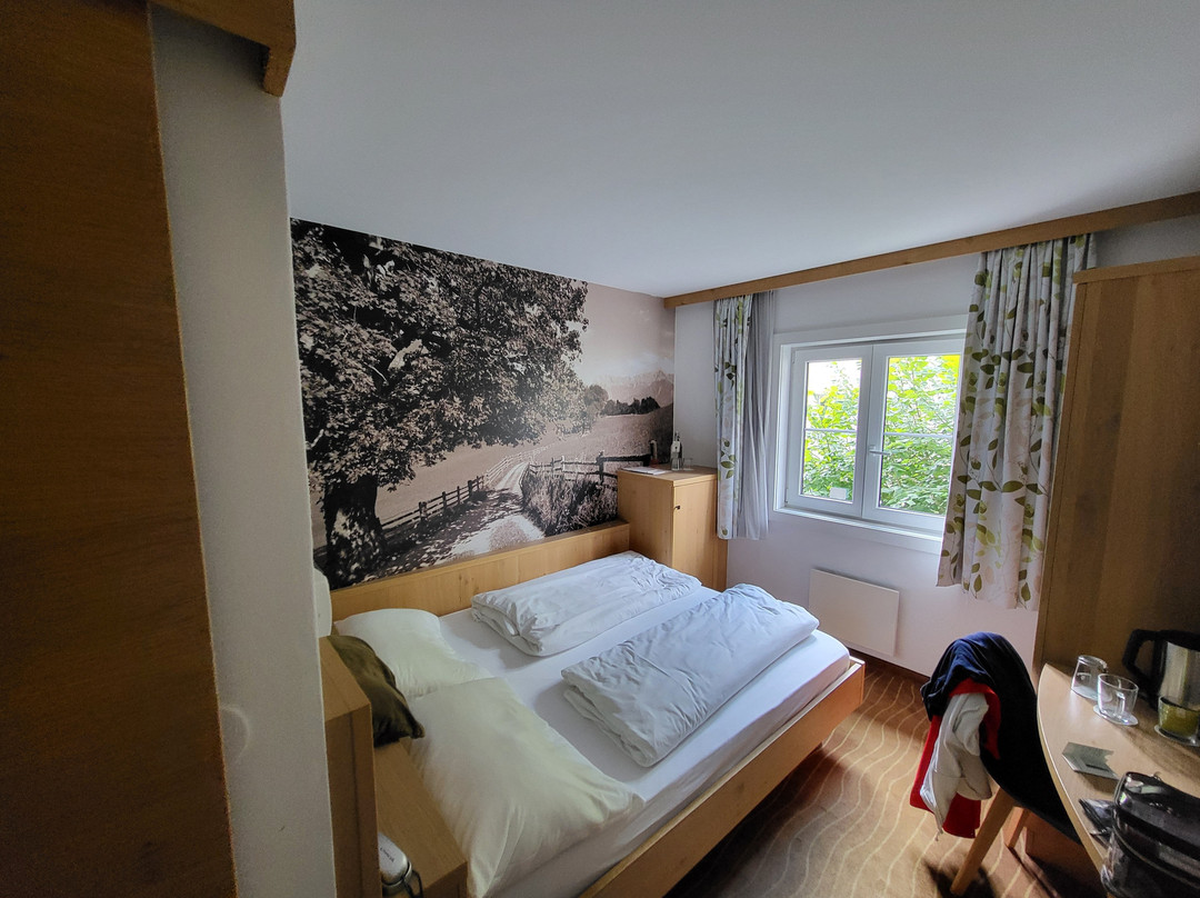 Hotel Grüner Baum主图