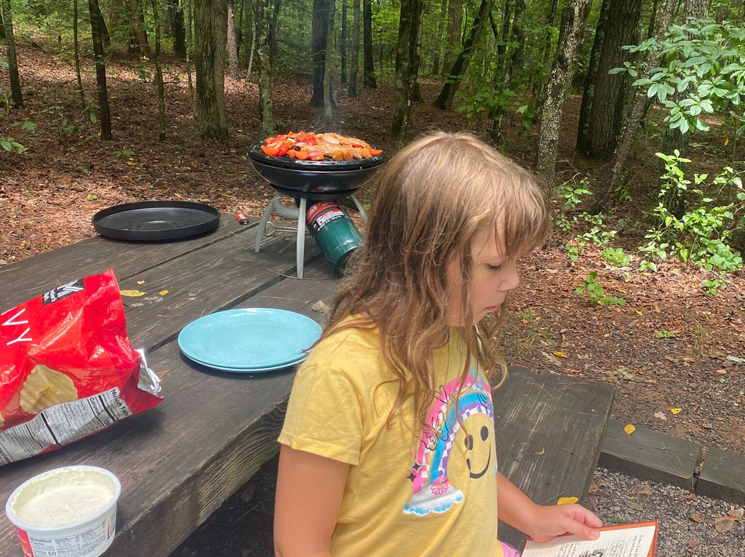 Lake Powhatan Recreation Area & Campground-阿什维尔必去景点