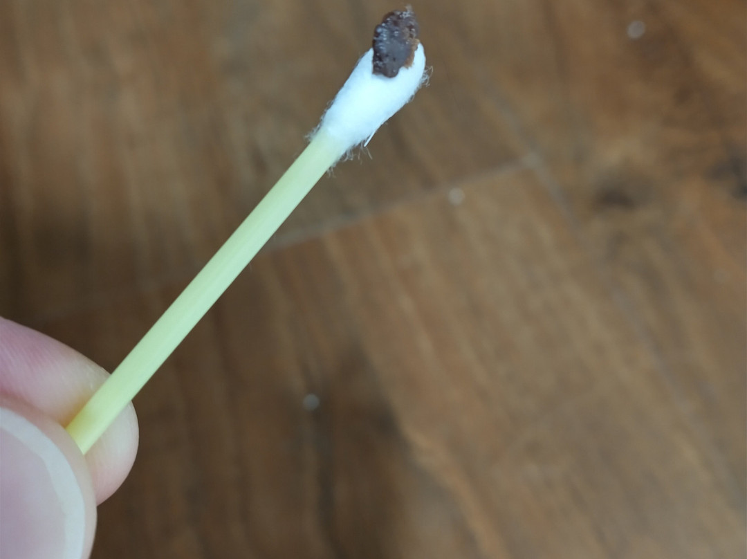 Hilton Garden Inn North Houston/spring主图