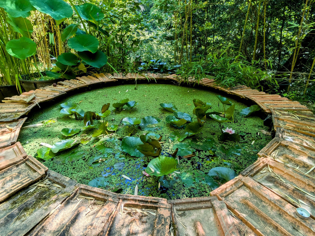 Le Jardin Les Bambous du Mandarin景点图片