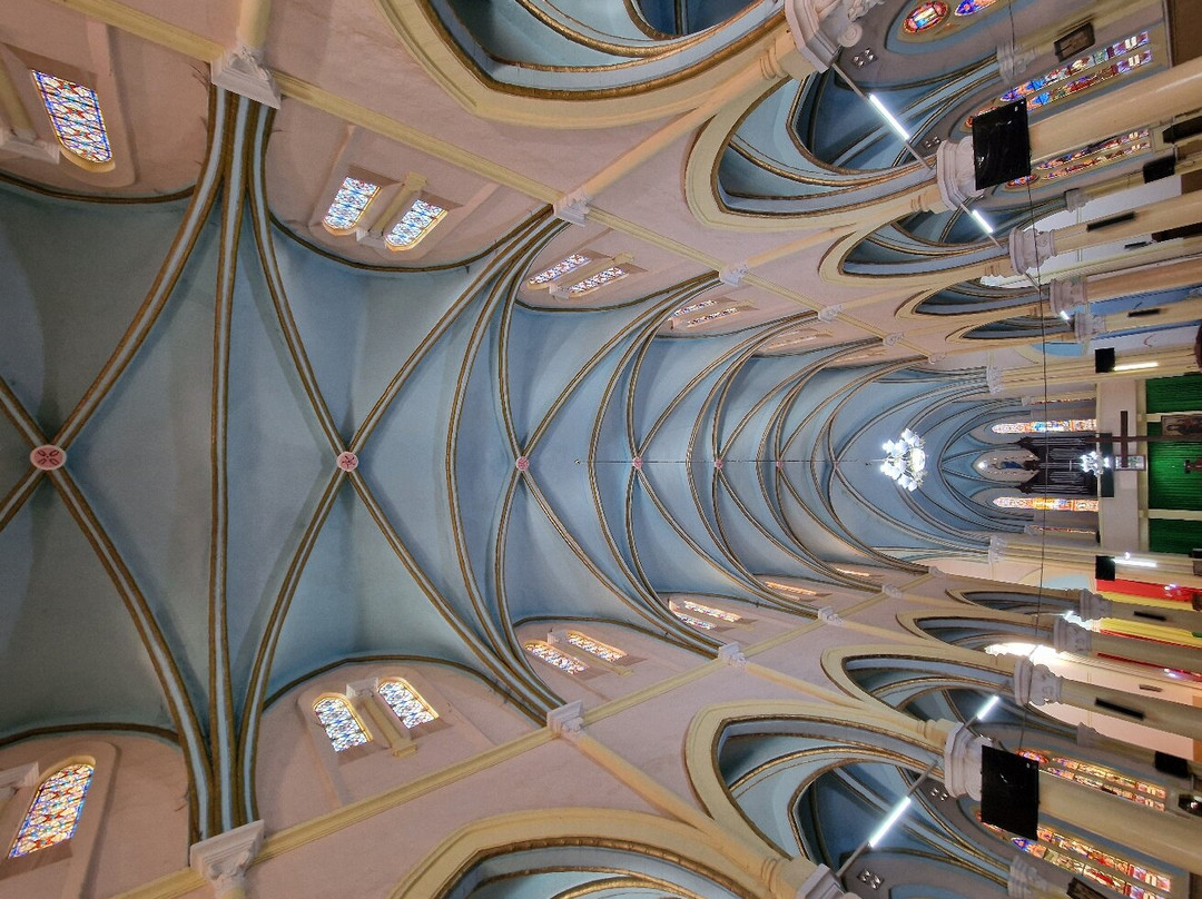 Our Lady Of La Salette Cathedral景点图片