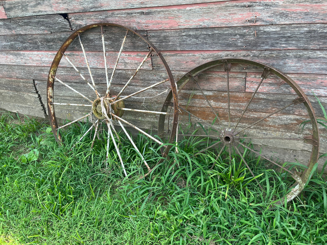 Weston Red Barn Farm-Weston必去景点