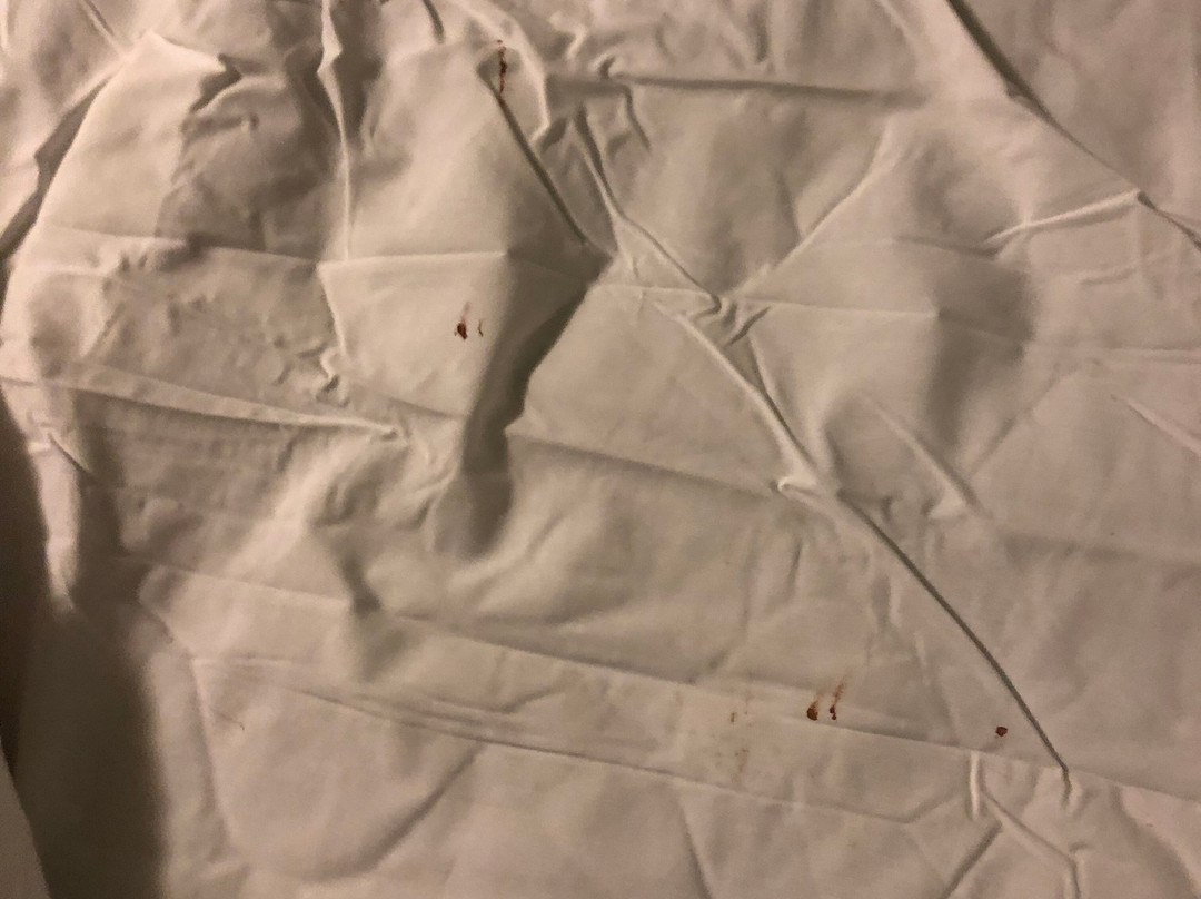 Staybridge Suites Tysons - Mclean By IHG主图