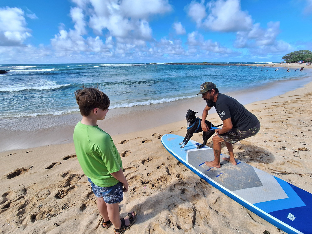 Hawaii Surf Dogs-卡胡库必去景点