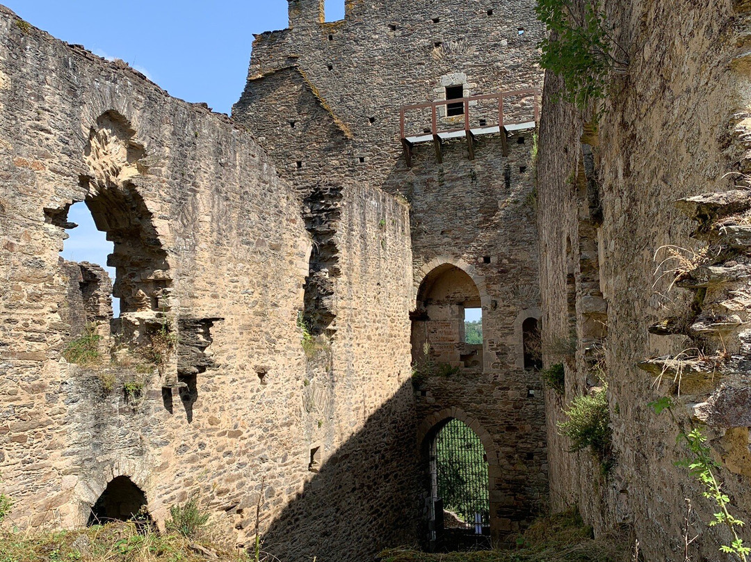 Chateau de Chalucet景点图片