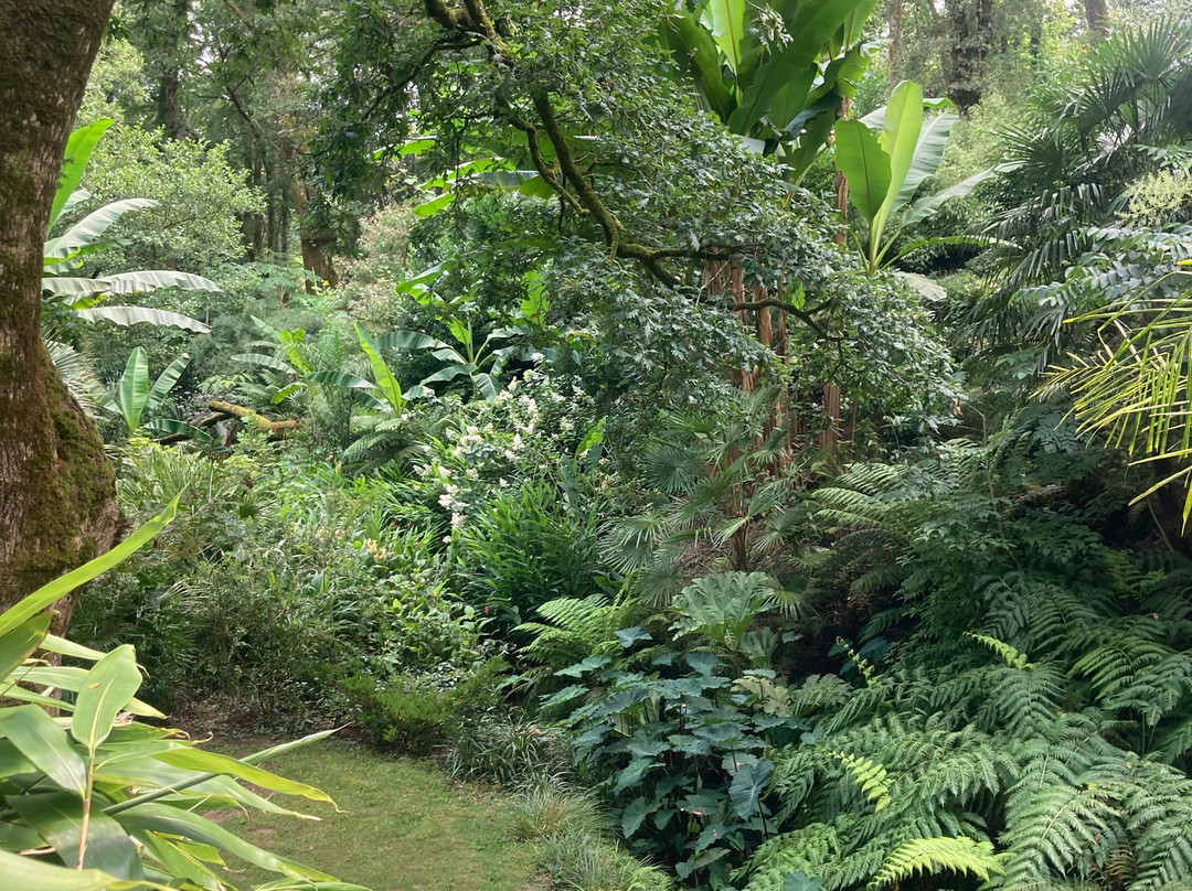 Jardin Des Barthes景点图片