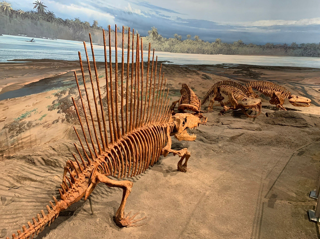 Thanksgiving Point-李海必去景点