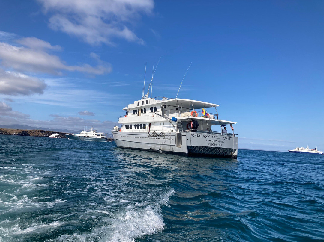 Galapagos Natural Life Tour Operator-加拉帕戈斯群岛必去景点
