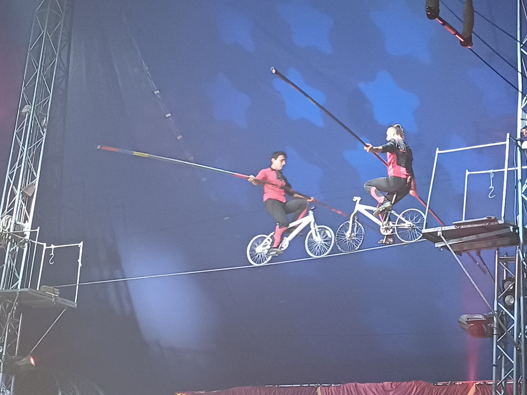 Circus Gerbola-Lucan必去景点