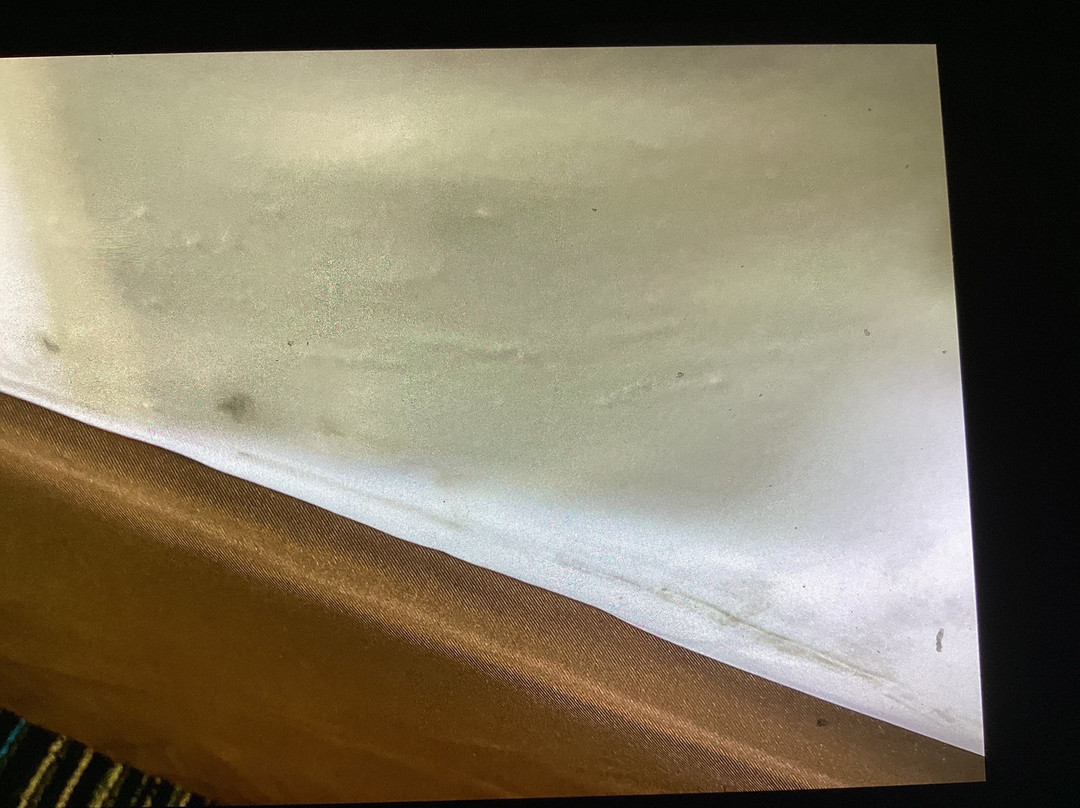 Colonial Motel主图