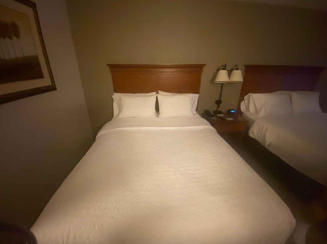 罗克斯普林斯希尔顿恒庭酒店主图