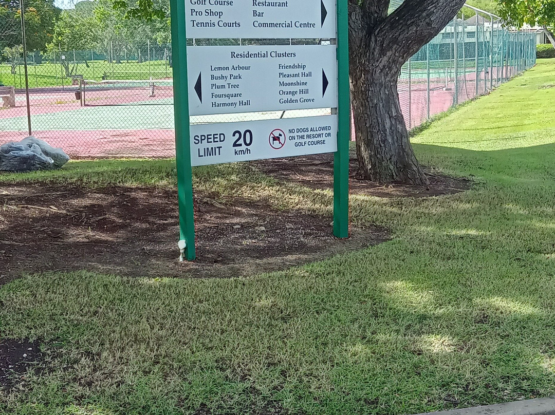 Plum Tree Club主图