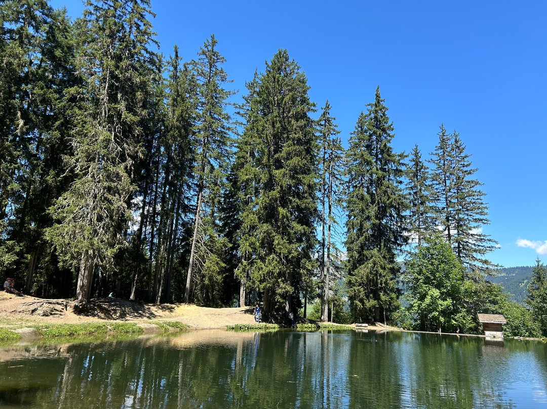 Lac des Evettes-Flumet必去景点