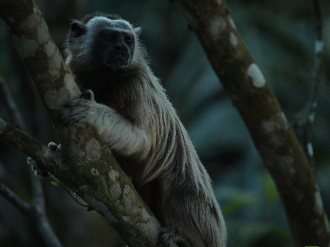 Reserva Natural Cueva de Morgan San Rafael主图