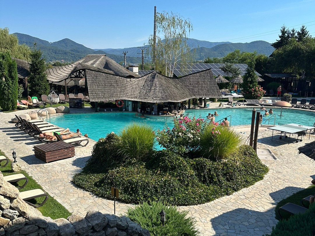 Hotel Castel Transilvania主图