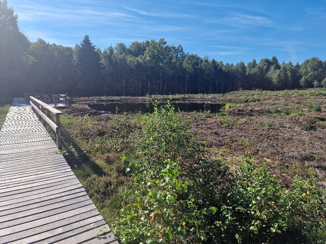 The educational Peat Route-Les Ponts-de-Martel必去景点