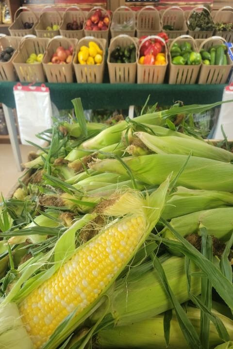 Gatewood Vegetable Farm & Greenhouses, Inc.-Noblesville必去景点