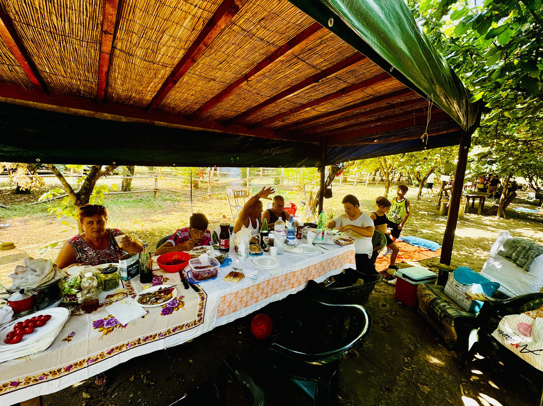Area Picnic La Massaria-San Michele di Serino必去景点