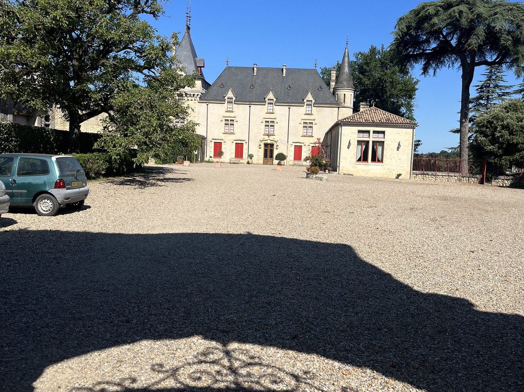 Château de Pressac景点图片