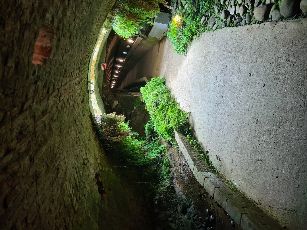 Pistoia Sotterranea景点图片