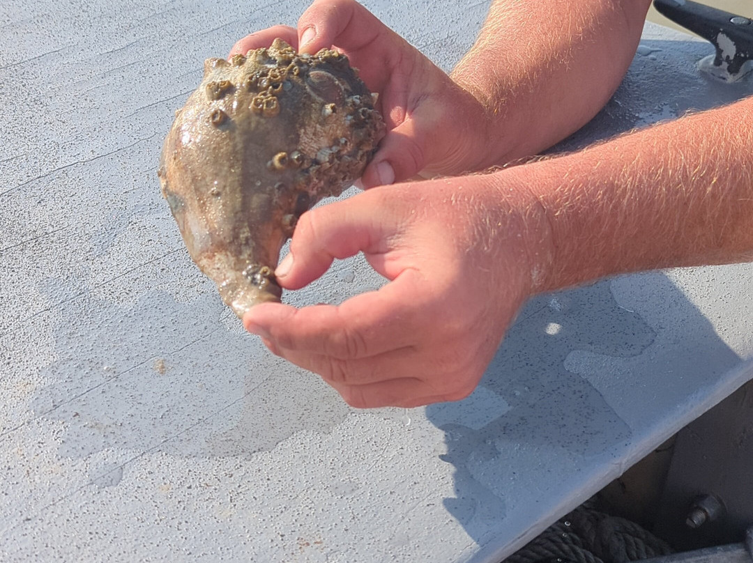 Fish Tales Fishing Charters-钦科蒂格岛必去景点