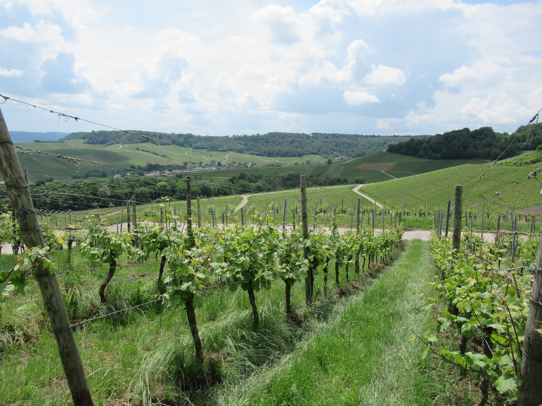 Route Du Vin-Schengen必去景点